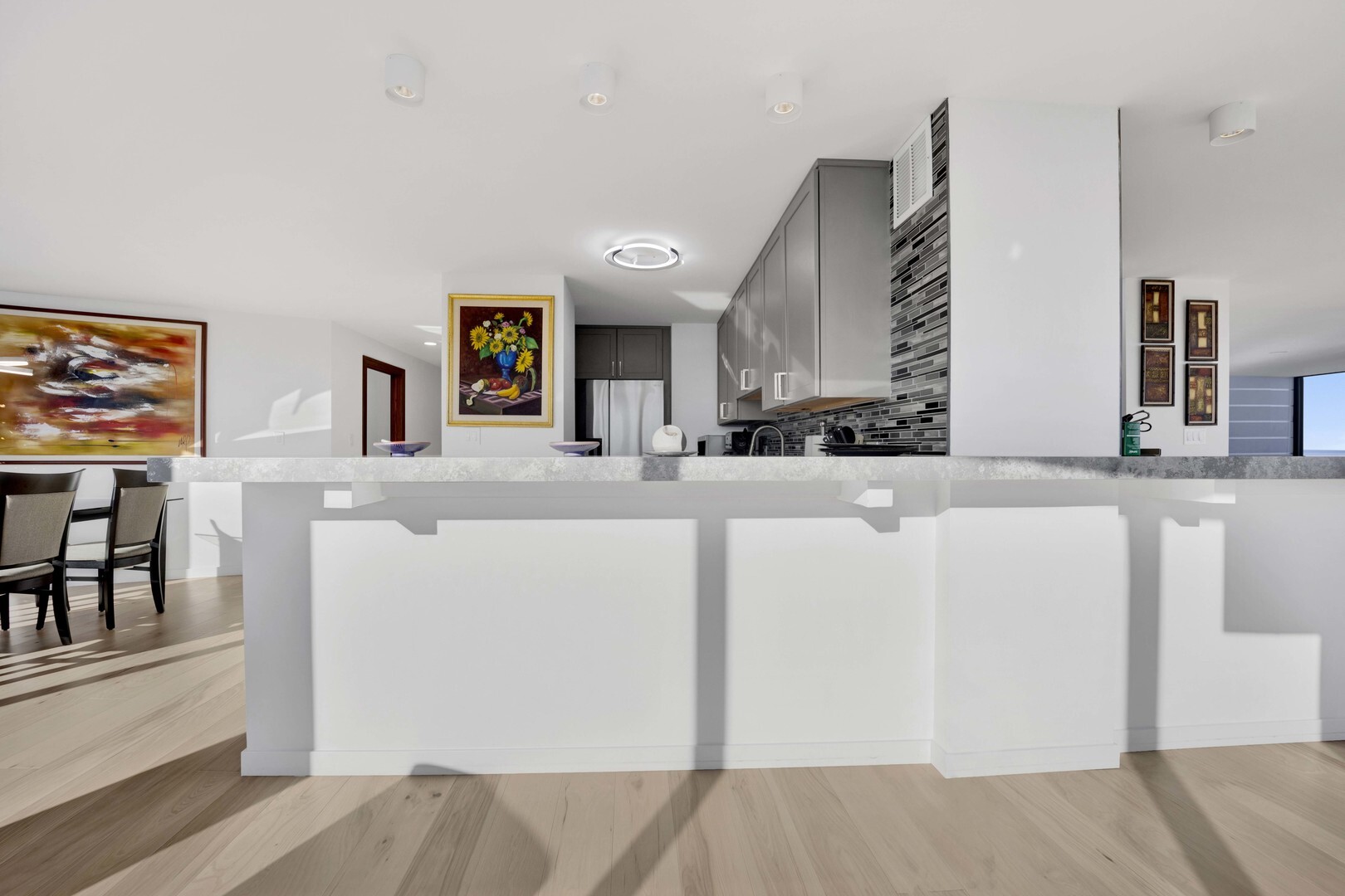 155 N Harbor Drive 212-213 Property Photo 12