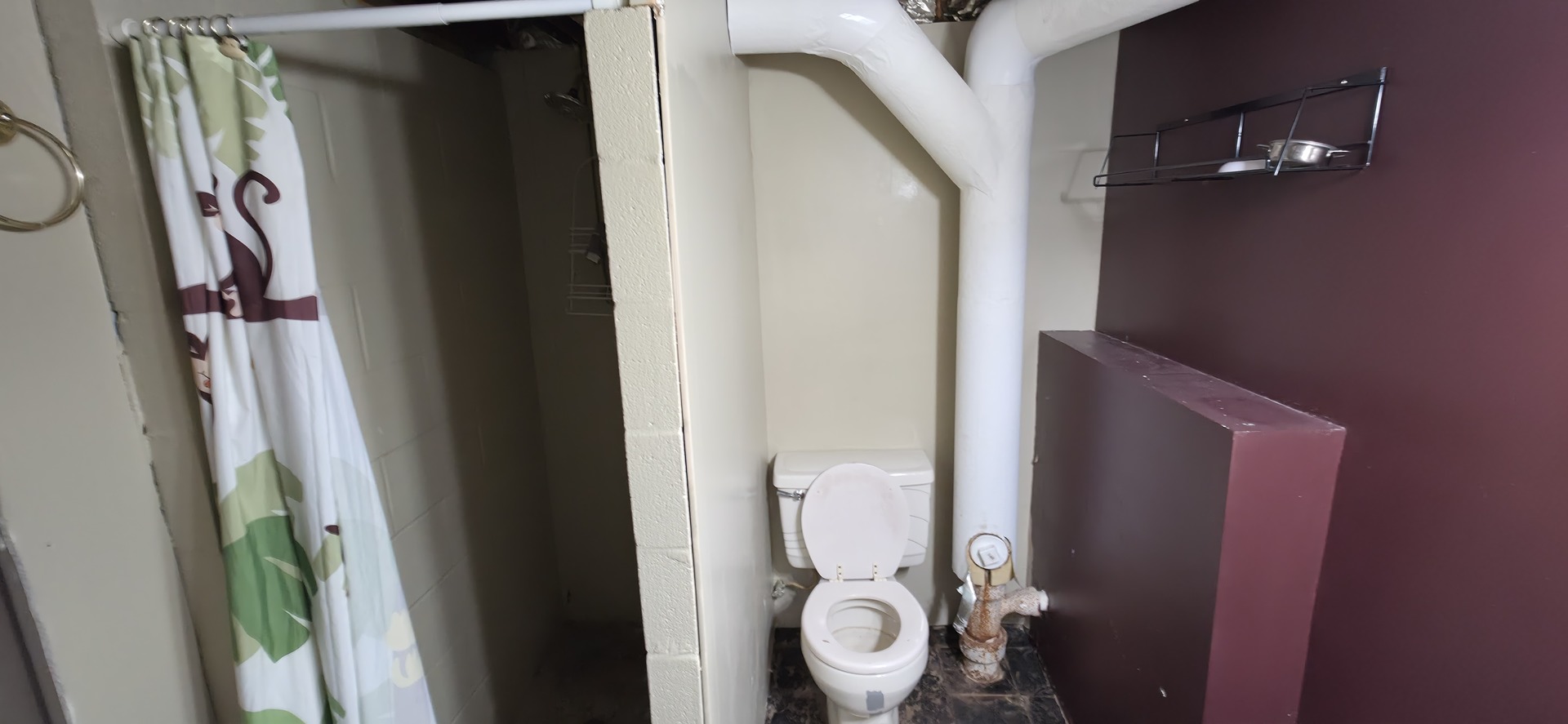 1904 Oakland Avenue Property Photo 26