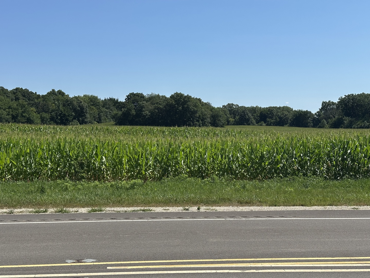 14 Acres Route 20 Highway Property Photo 1