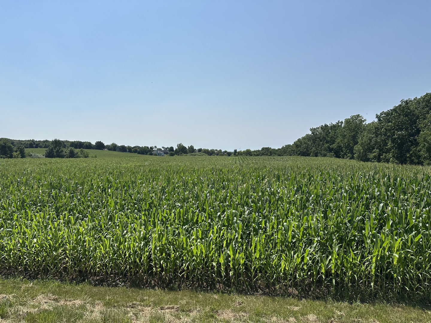 52 Acres Church Road Property Photo 2