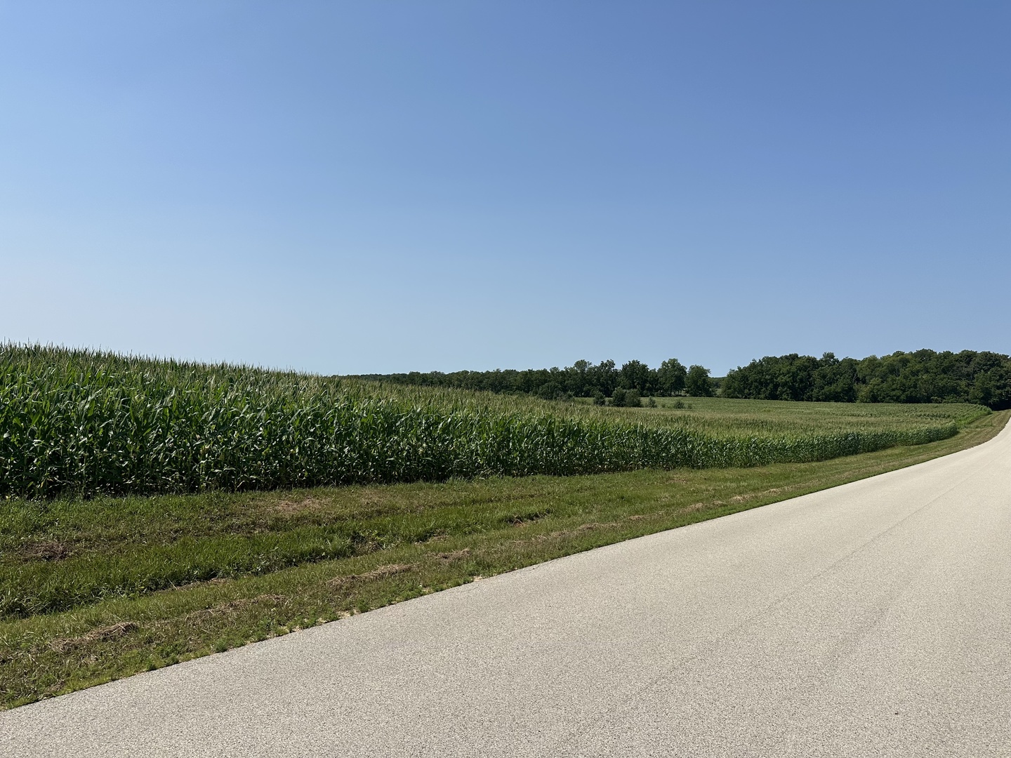 52 Acres Church Road Property Photo 3