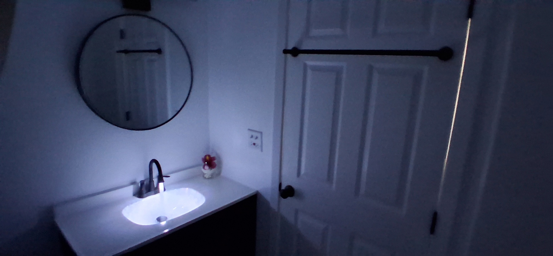 523 Alton Court Property Photo 23