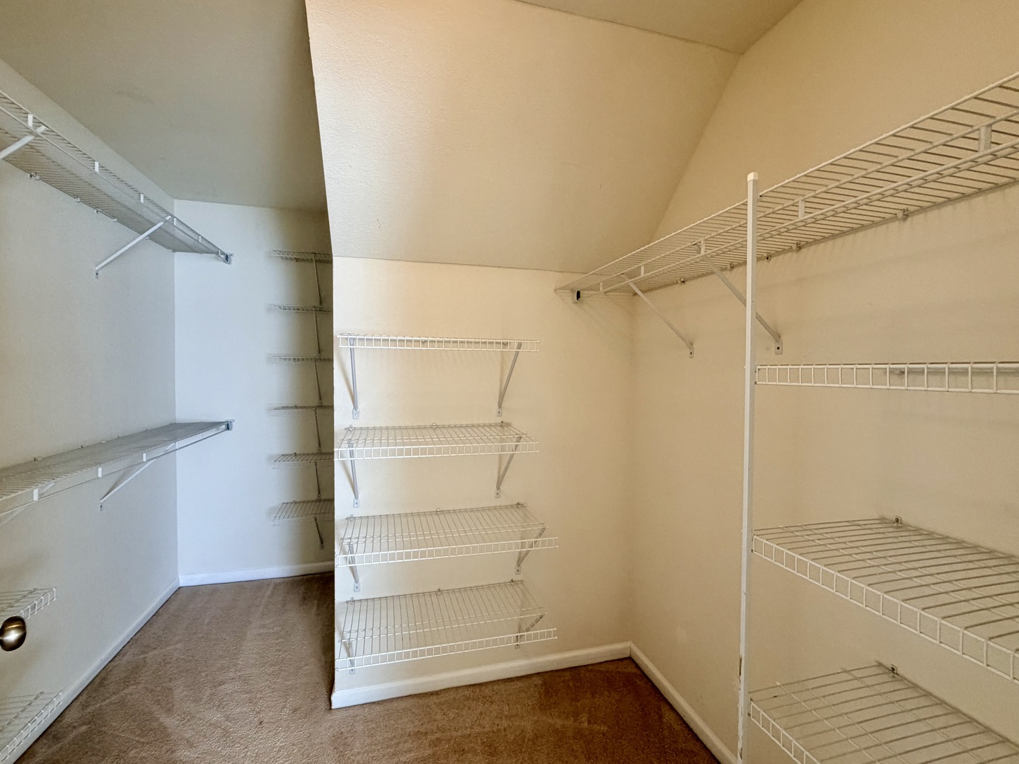 609 Lauterbur Lane Property Photo 18