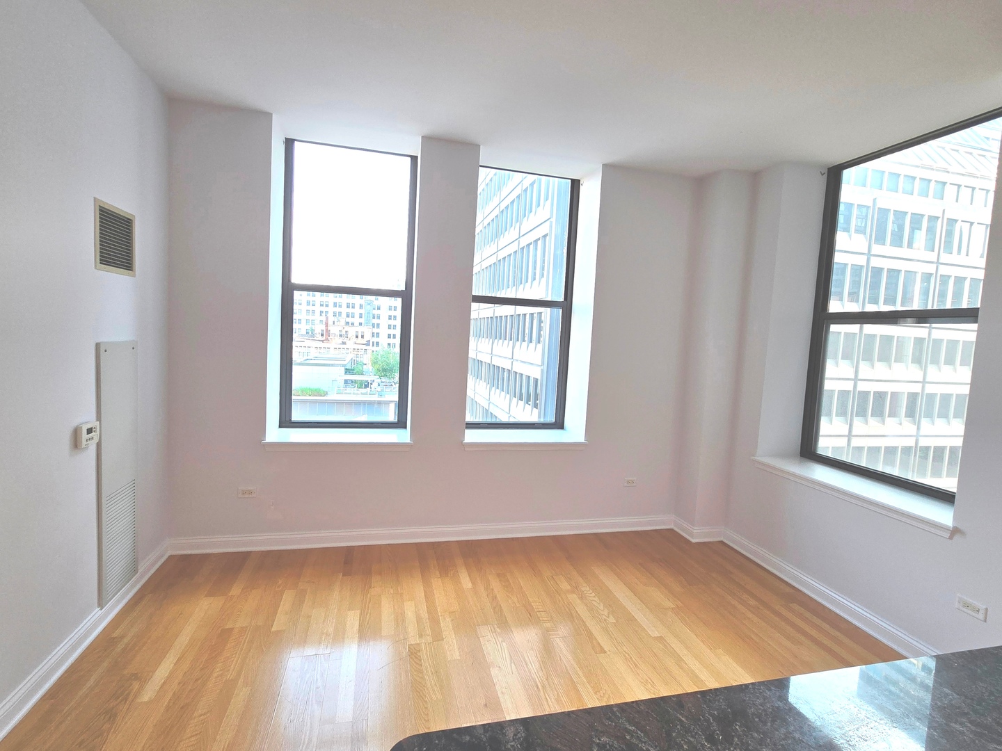 8 W Monroe Street 1800 Property Photo 5