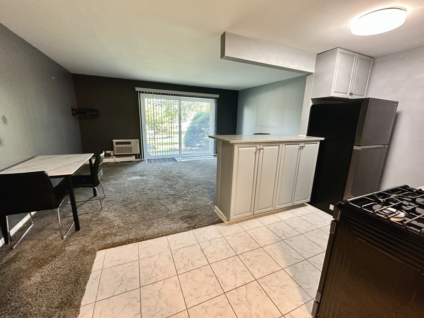 1188 Royal Glen Drive 108 Property Photo 4