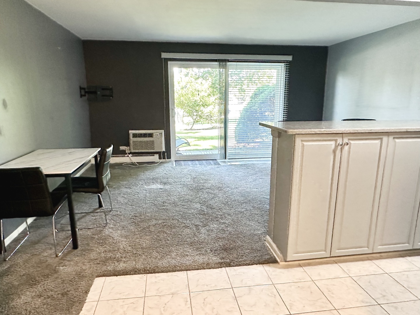1188 Royal Glen Drive 108 Property Photo 6
