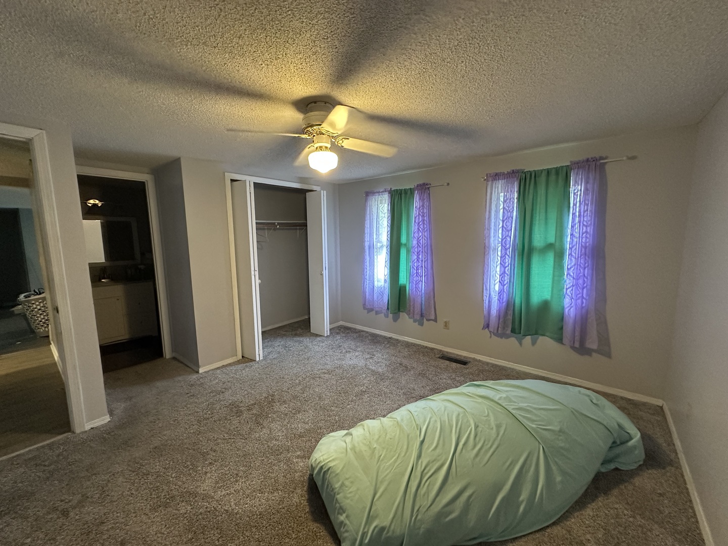 1130 W Webster Street Property Photo 16