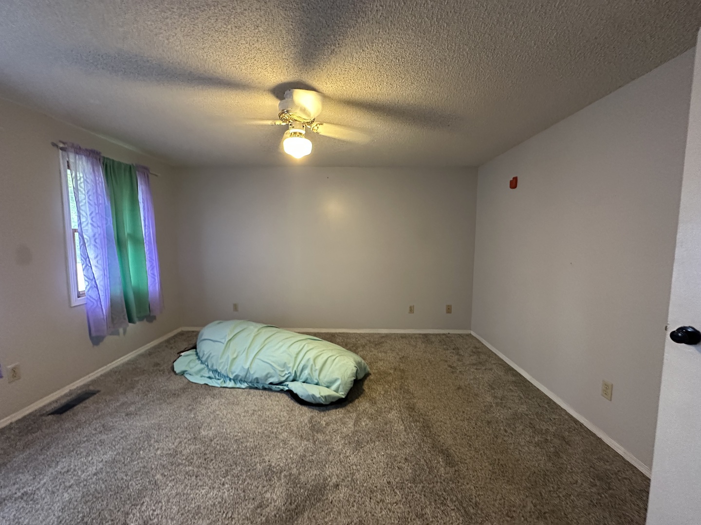 1130 W Webster Street Property Photo 17