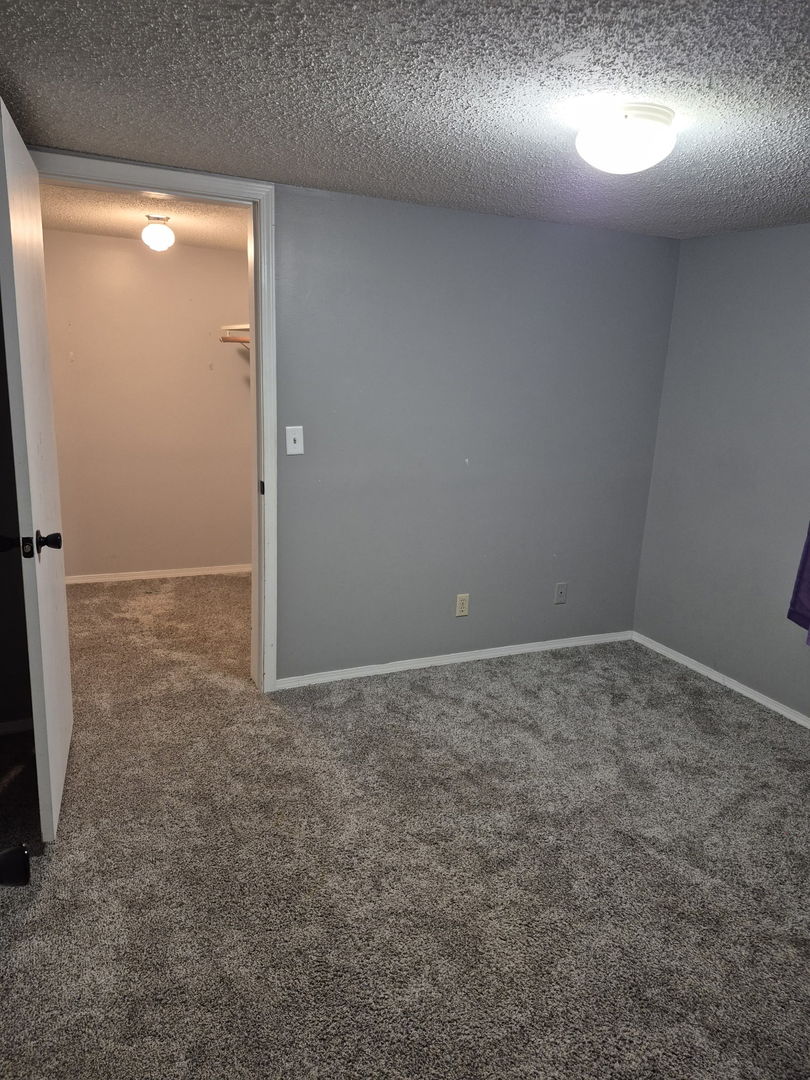 1130 W Webster Street Property Photo 26