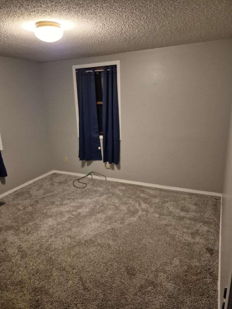 1130 W Webster Street Property Photo 27