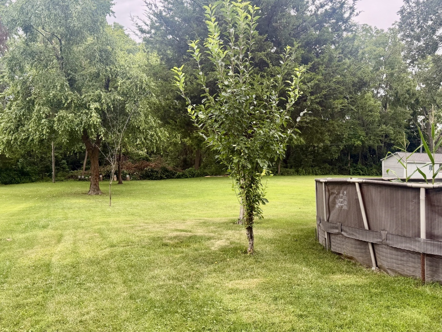 1304 Theodore Street Property Photo 2