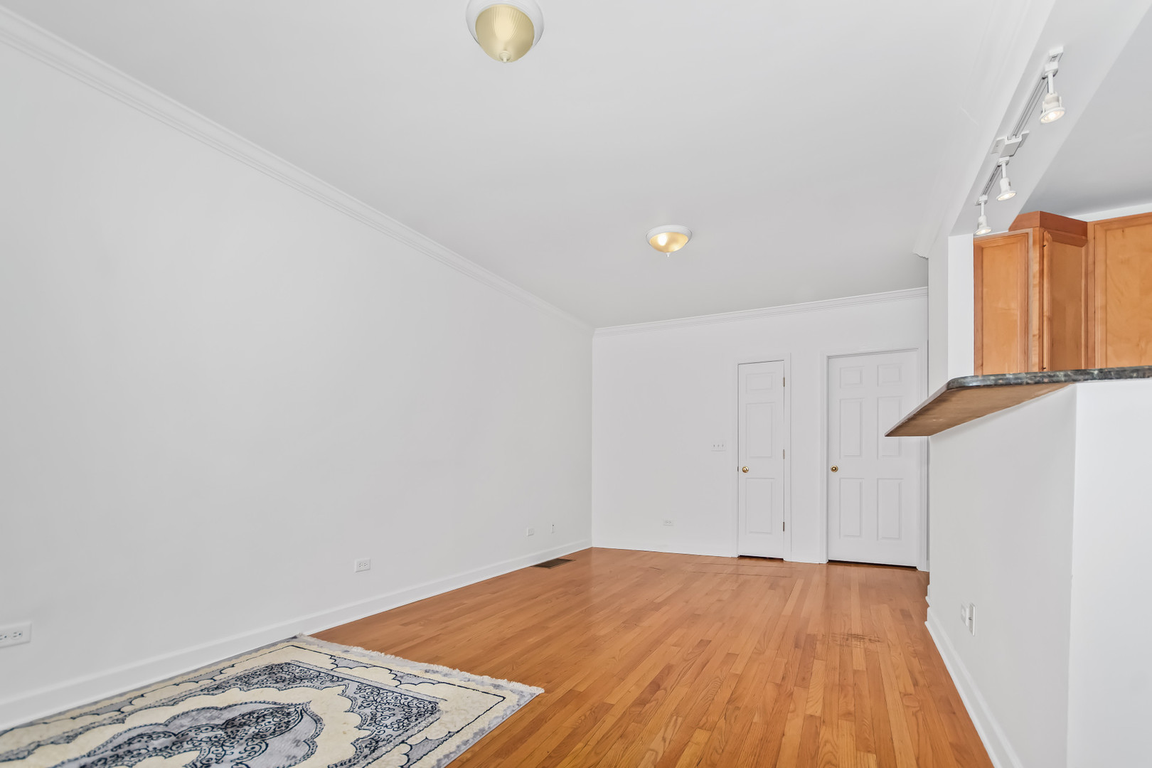 2514 W North Shore Avenue 1 Property Photo 4