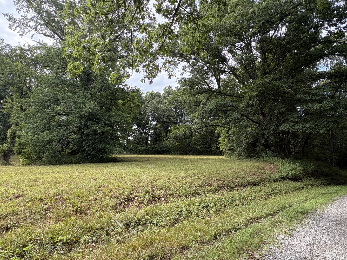 000 N Tolle Lane Property Photo 3