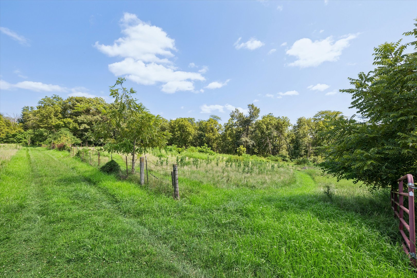 178 Hoover Highway Property Photo 12