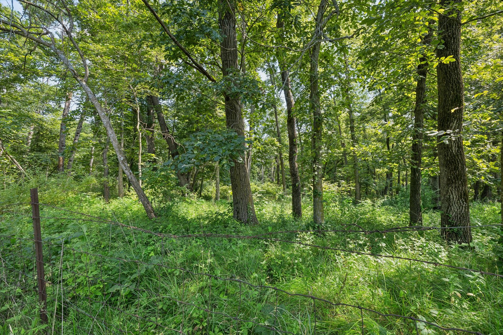 178 Hoover Highway Property Photo 17
