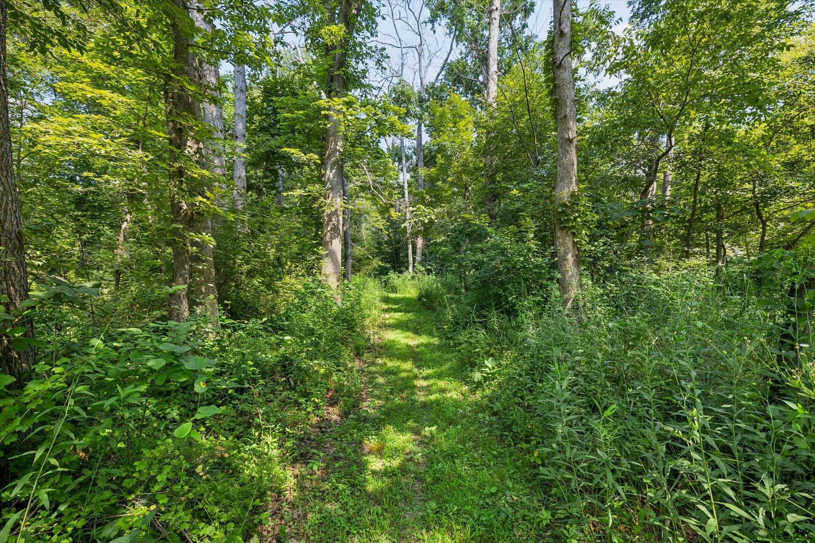 178 Hoover Highway Property Photo 19