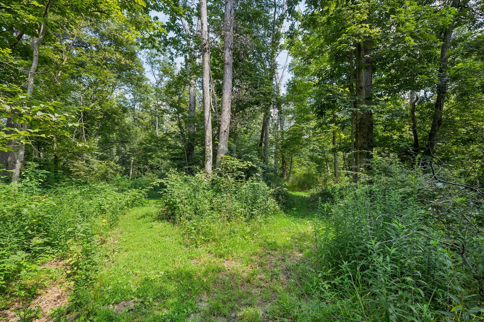 178 Hoover Highway Property Photo 20