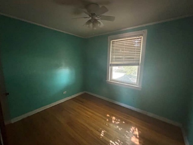 4853 N Mulligan Avenue Property Photo 9