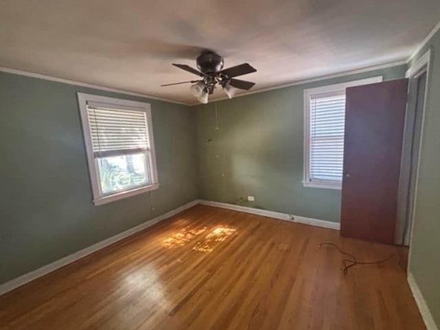 4853 N Mulligan Avenue Property Photo 10