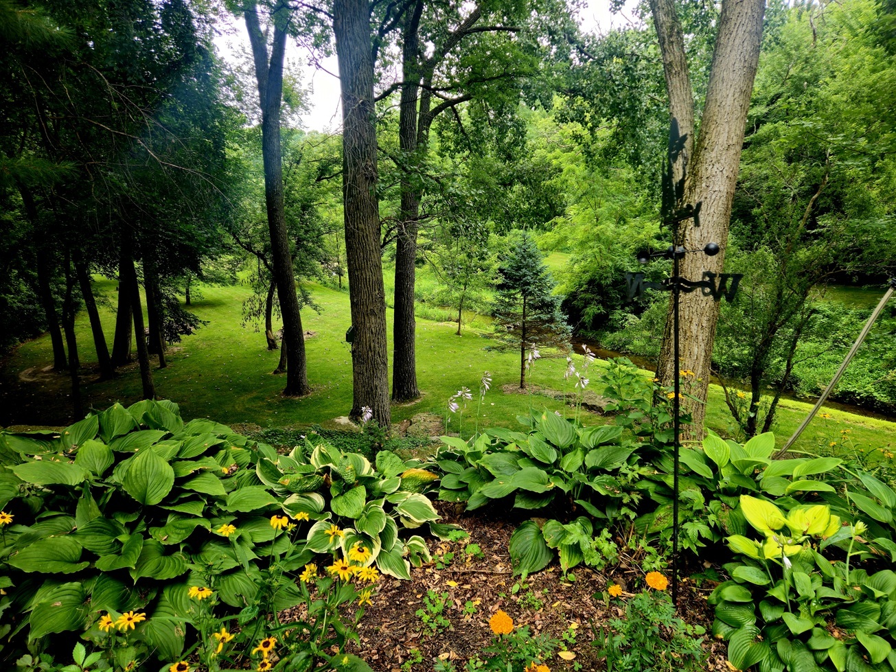 804 Timber Trail Drive Property Photo 45