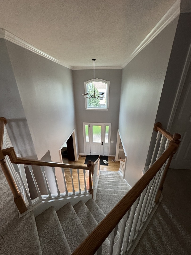 13 Knollbrook Court Property Photo 18