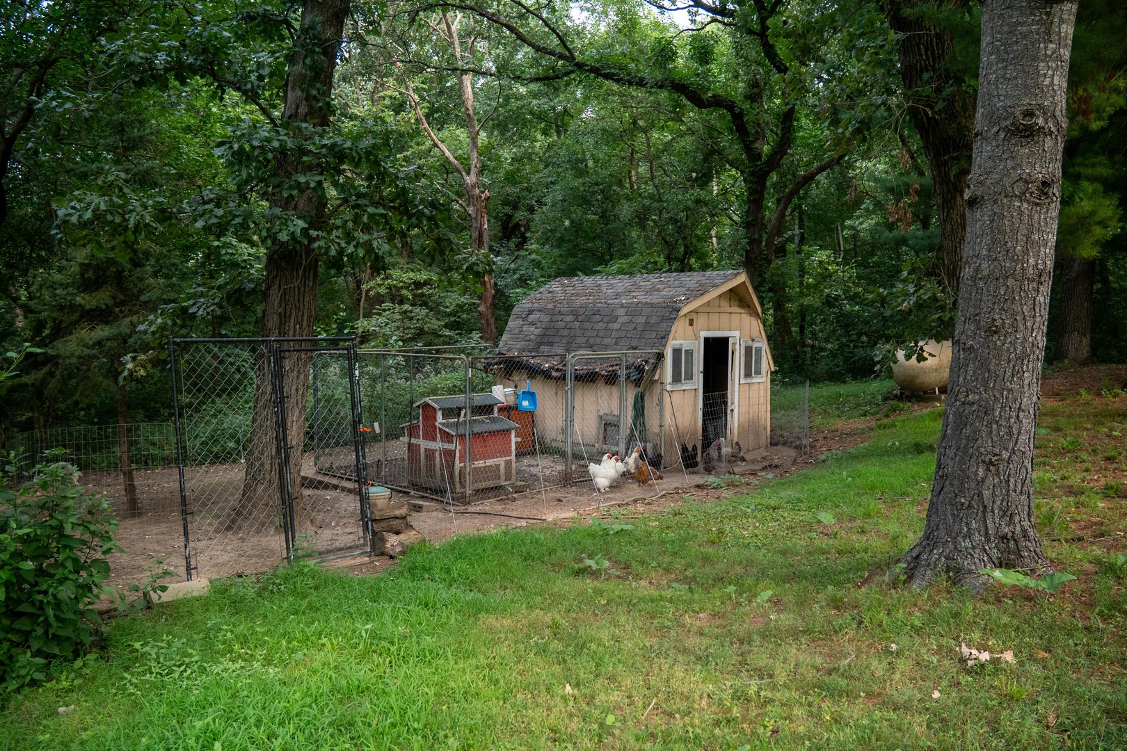 916 W Town Line Road Property Photo 61
