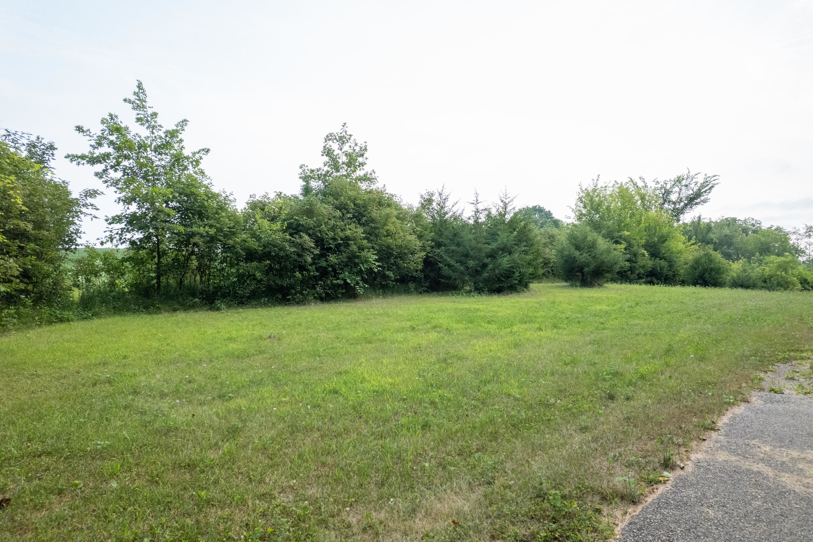 916 W Town Line Road Property Photo 63