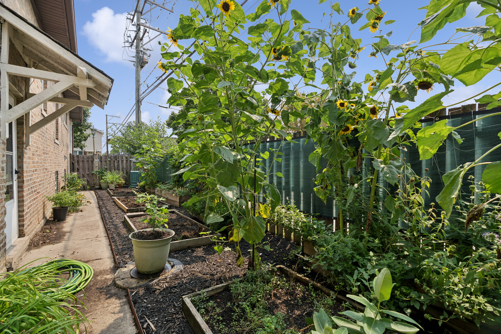 1183 S Cuyler Avenue Property Photo 35