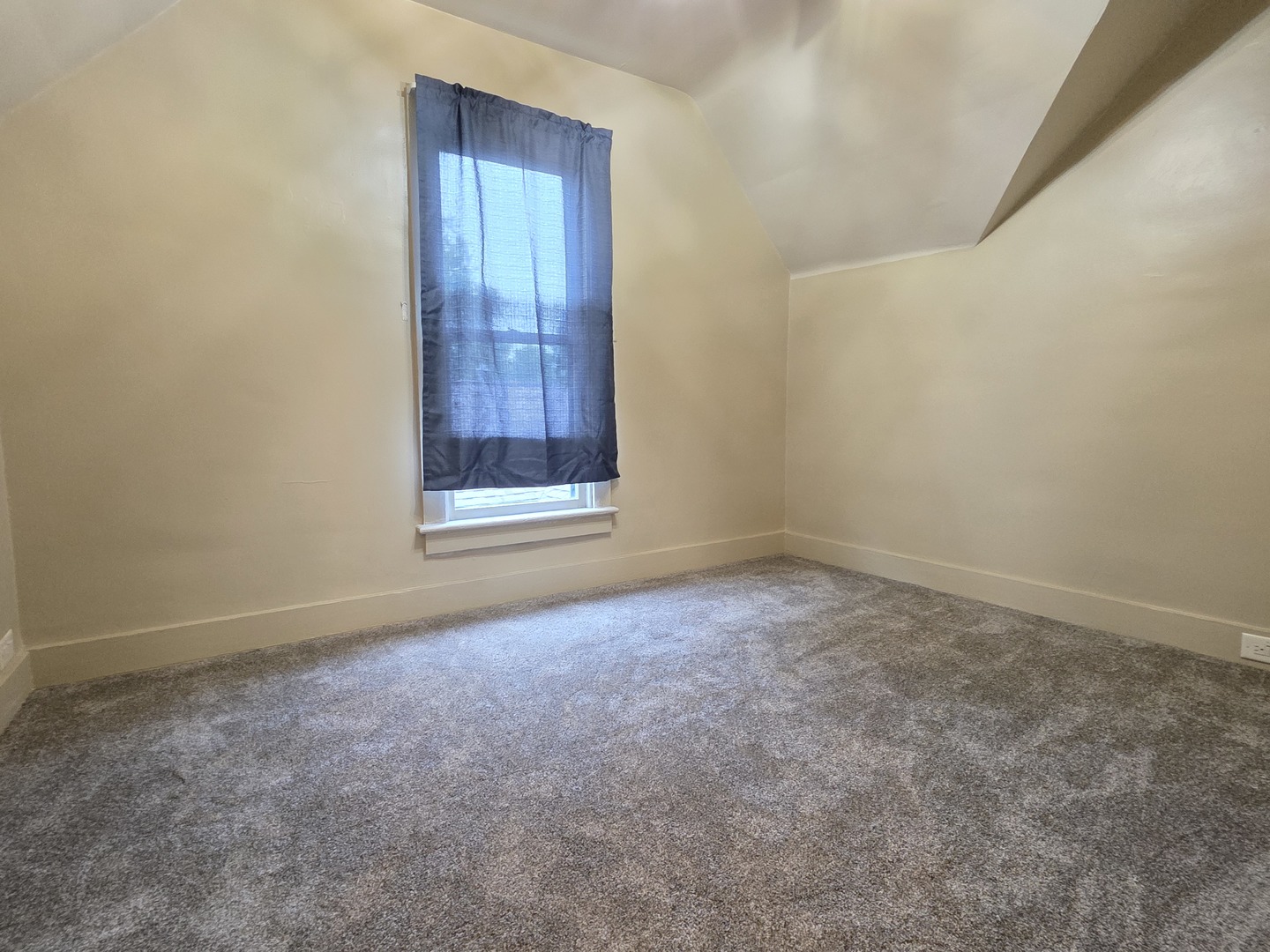 813 Pine Street Property Photo 15