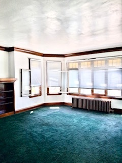 7923 S Wolcott Avenue Property Photo 15