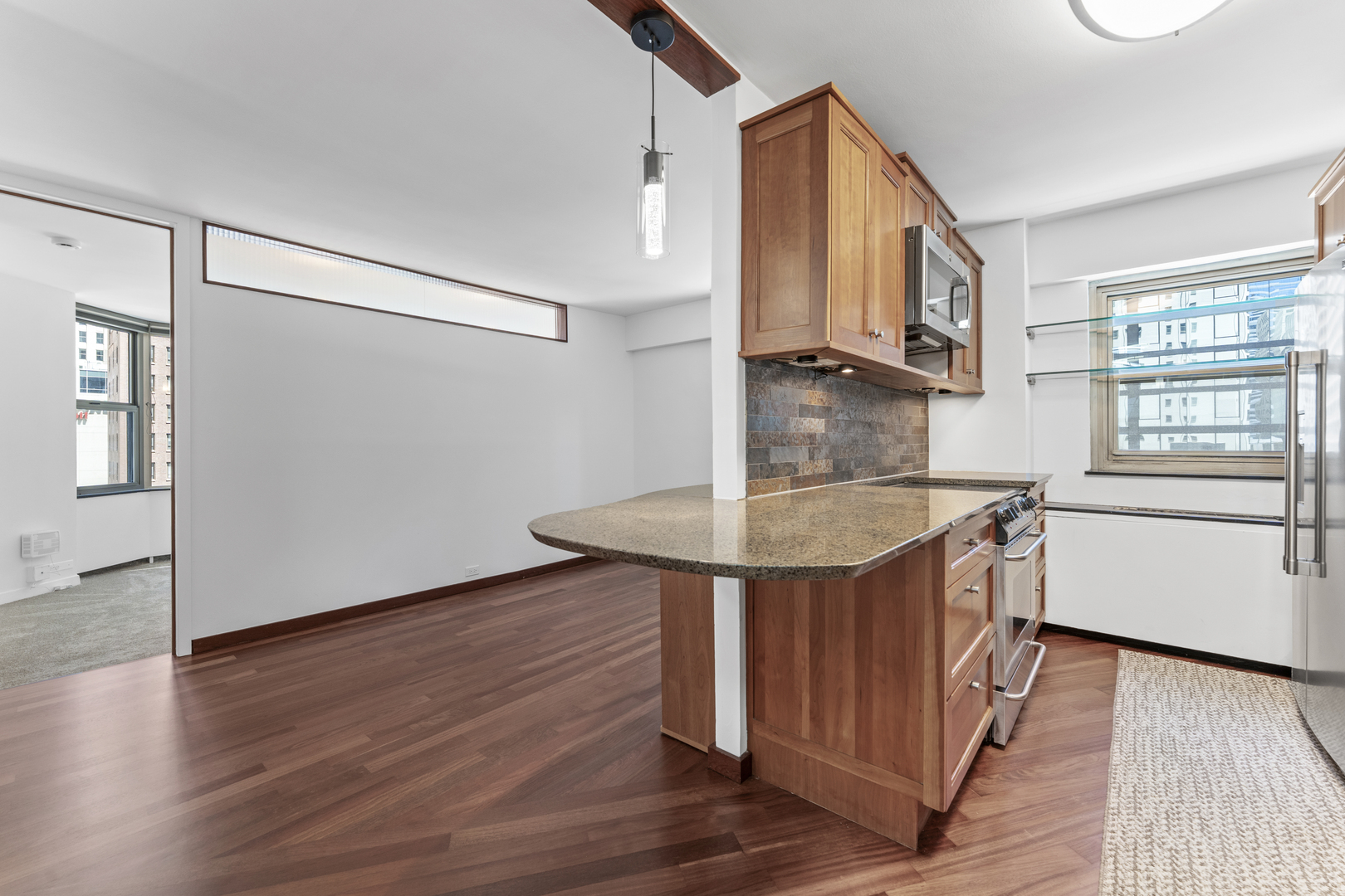 535 N Michigan Avenue 909 Property Photo 4