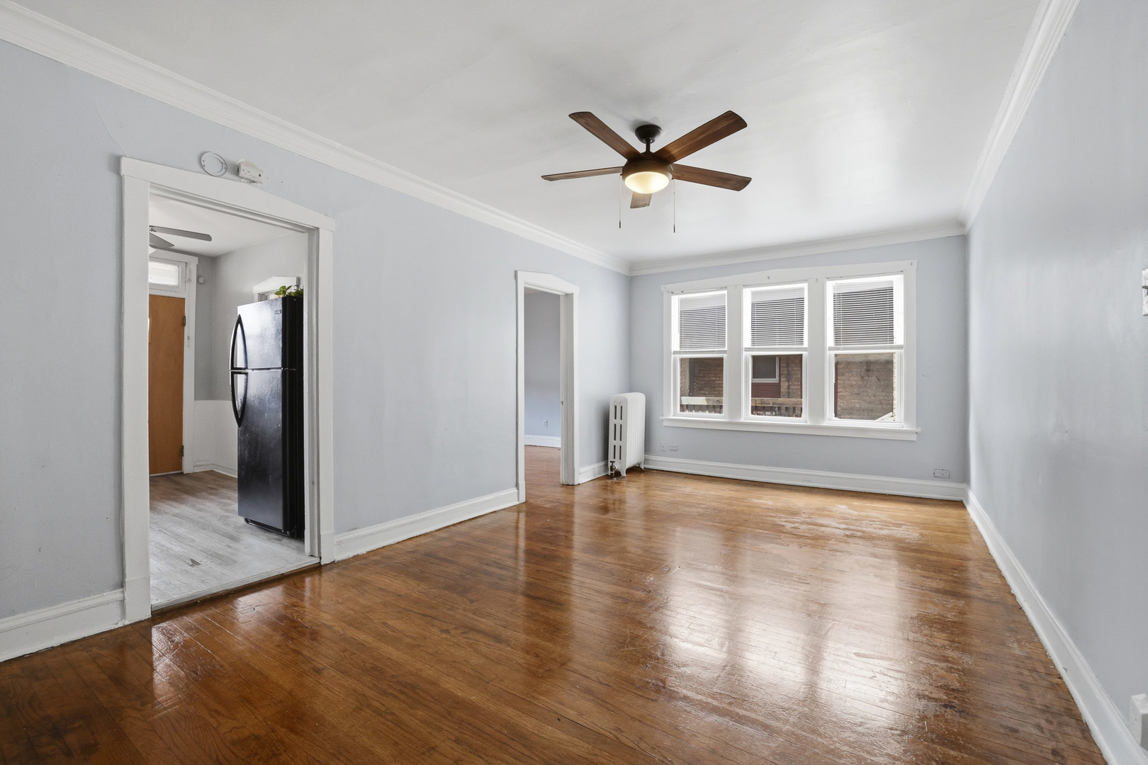 17 Garfield Street Property Photo 34