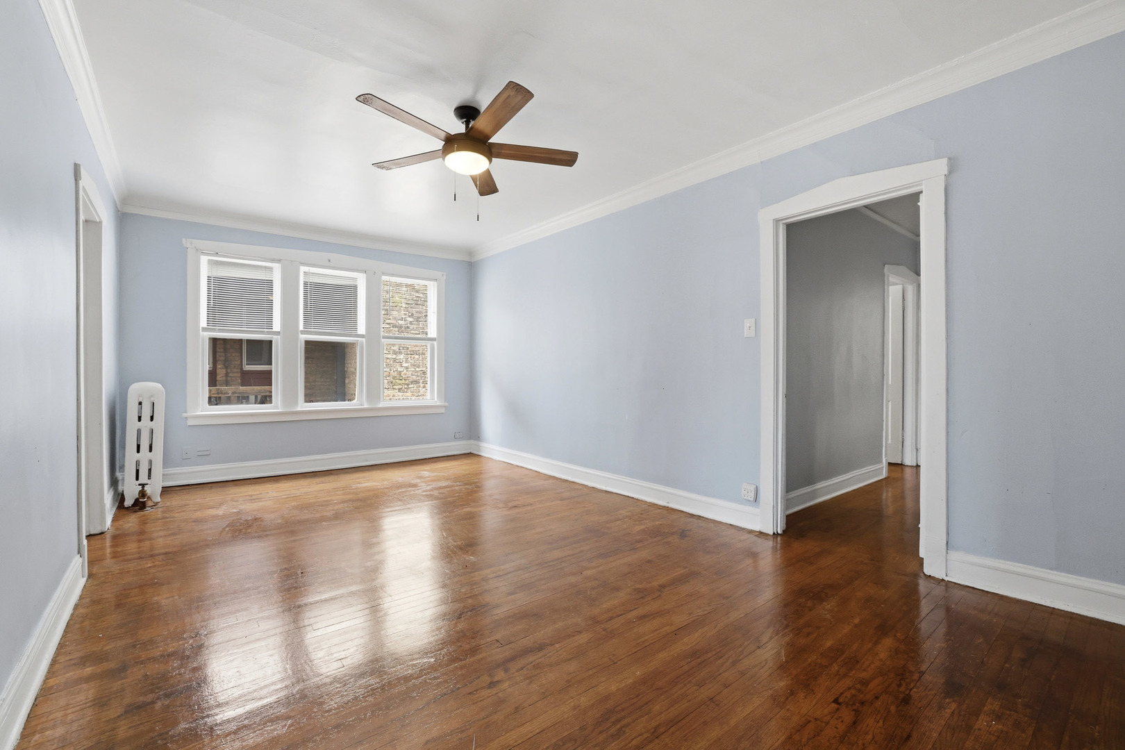 17 Garfield Street Property Photo 35