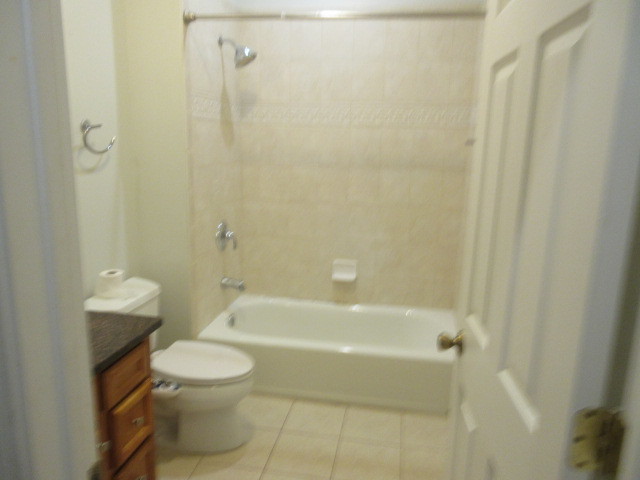 4417 S Calumet Avenue 2s Property Photo 18