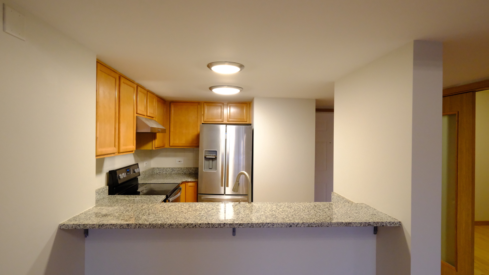 1828 S Wentworth Avenue 4b Property Photo 4