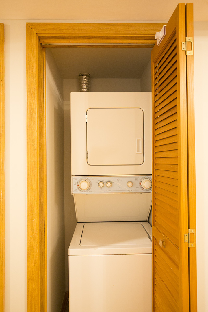 1828 S Wentworth Avenue 4b Property Photo 6