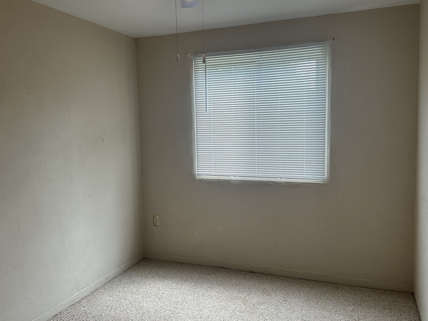 3721 13th Avenue Property Photo 12