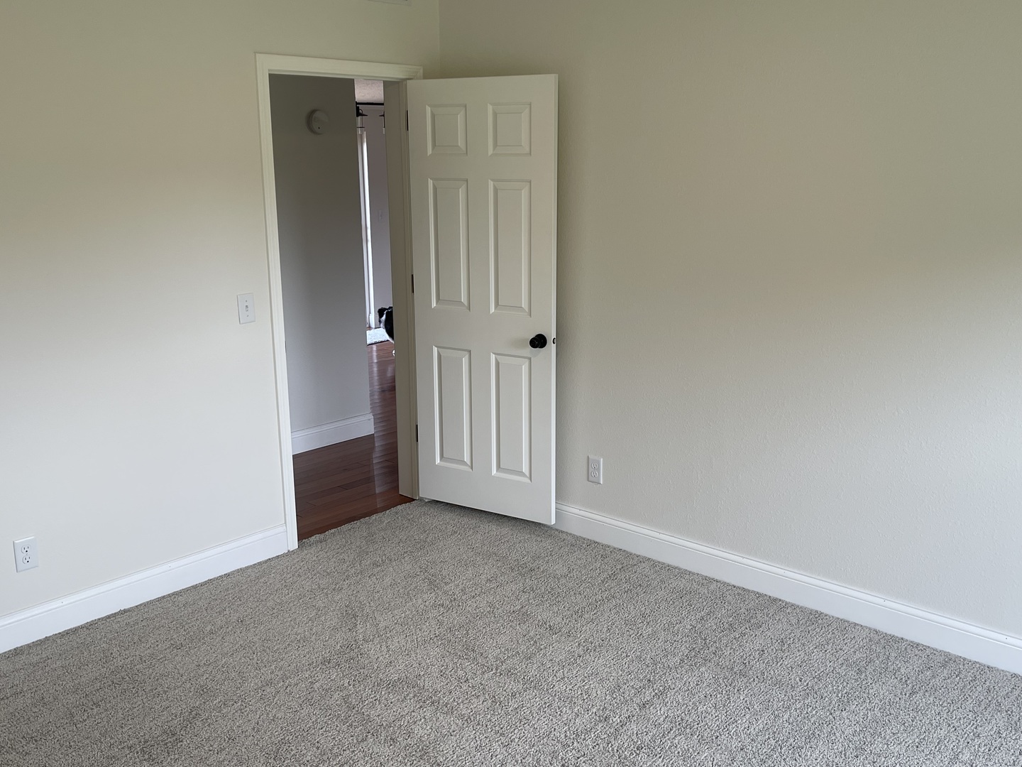 290 Friendship Loop Property Photo 7