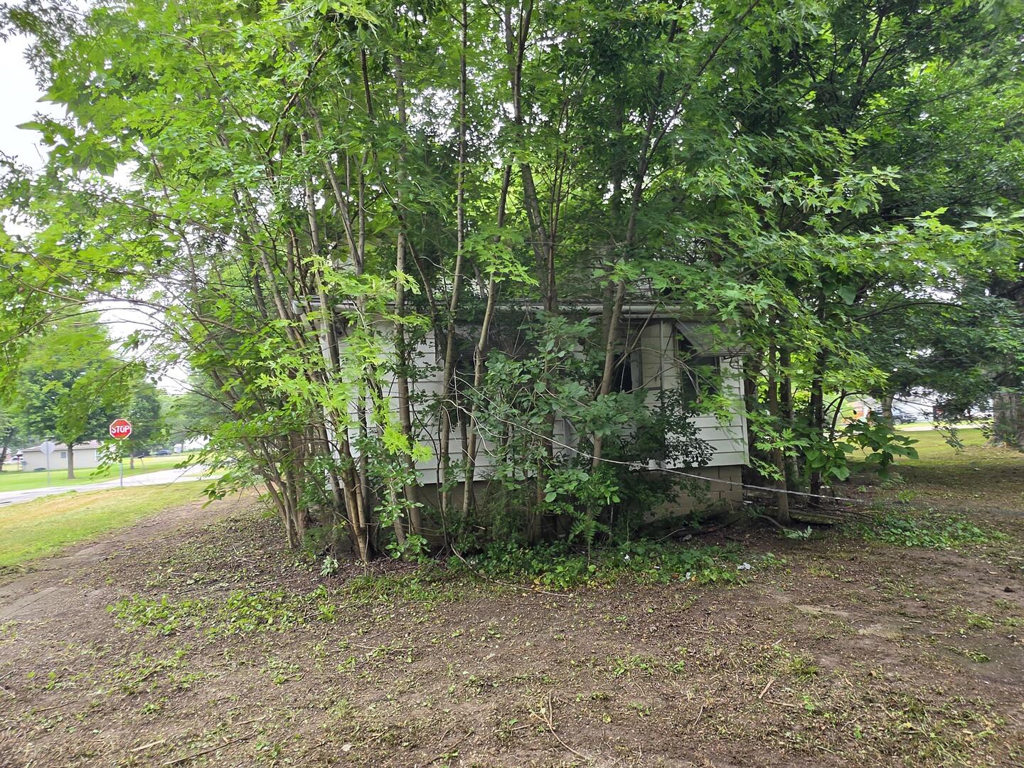 202 S 1st Street Property Photo 8