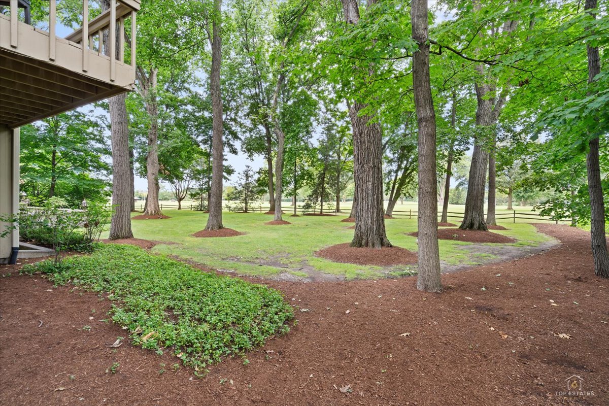 1725 Persimmon Drive Property Photo 57