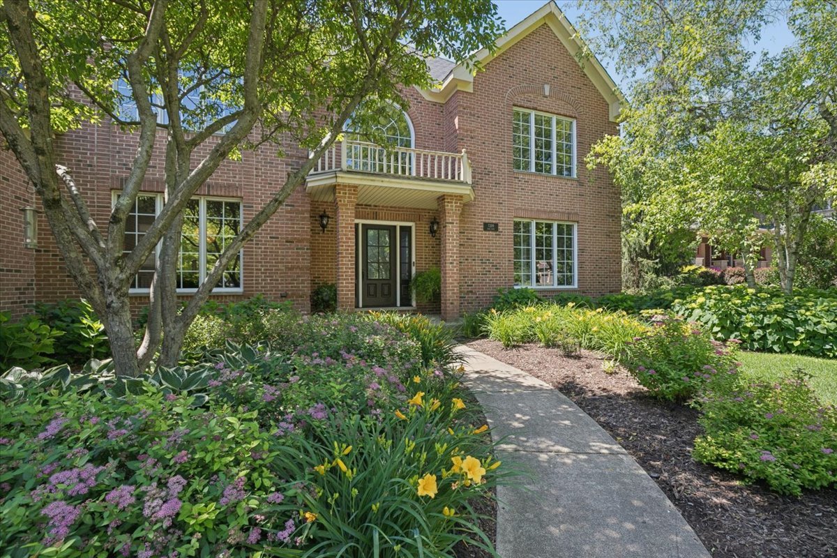 7209 Brae Court