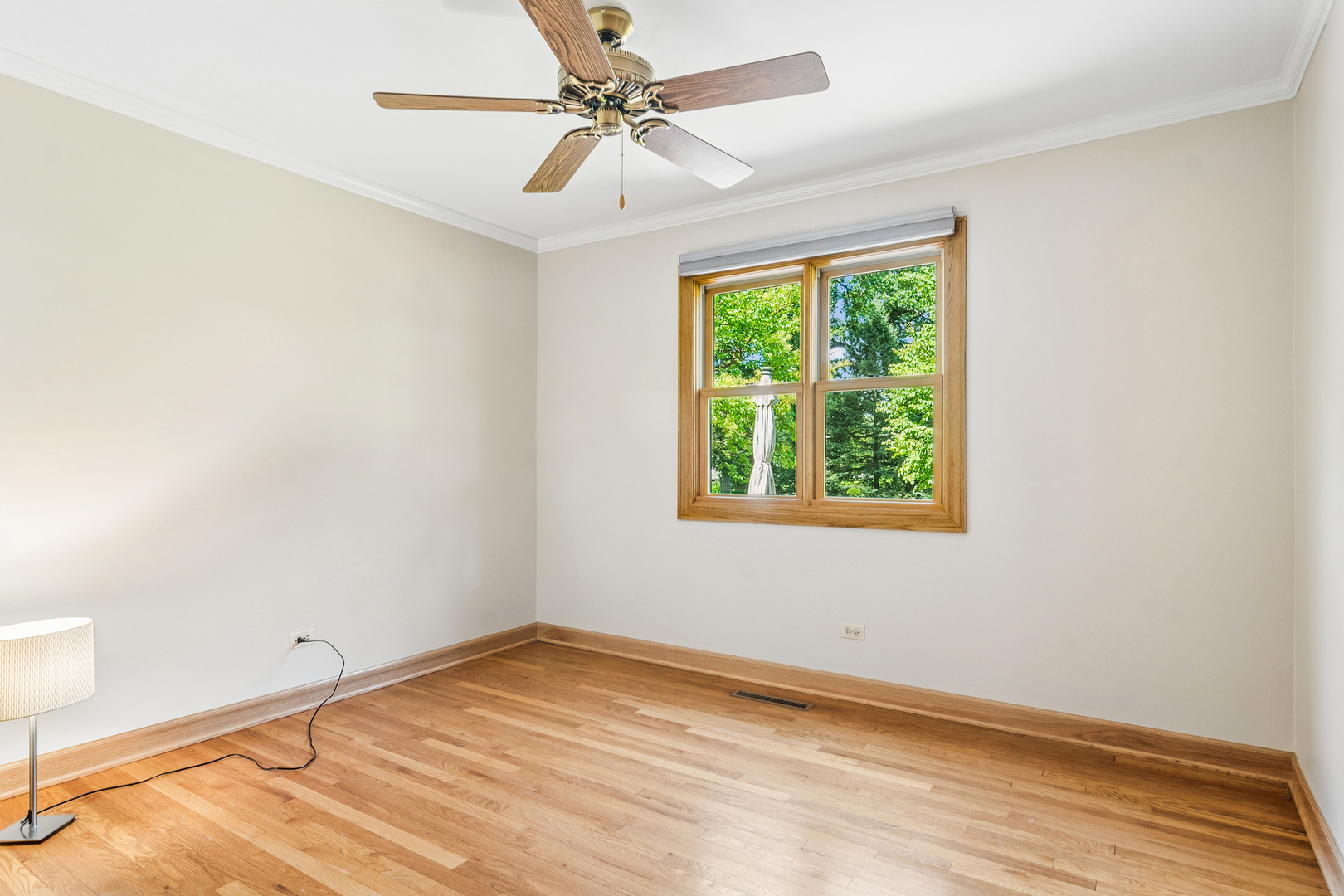 255 West Lane Property Photo 16
