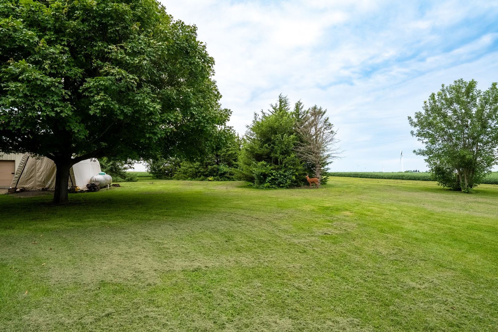25823 E 2400 North Road Property Photo 51