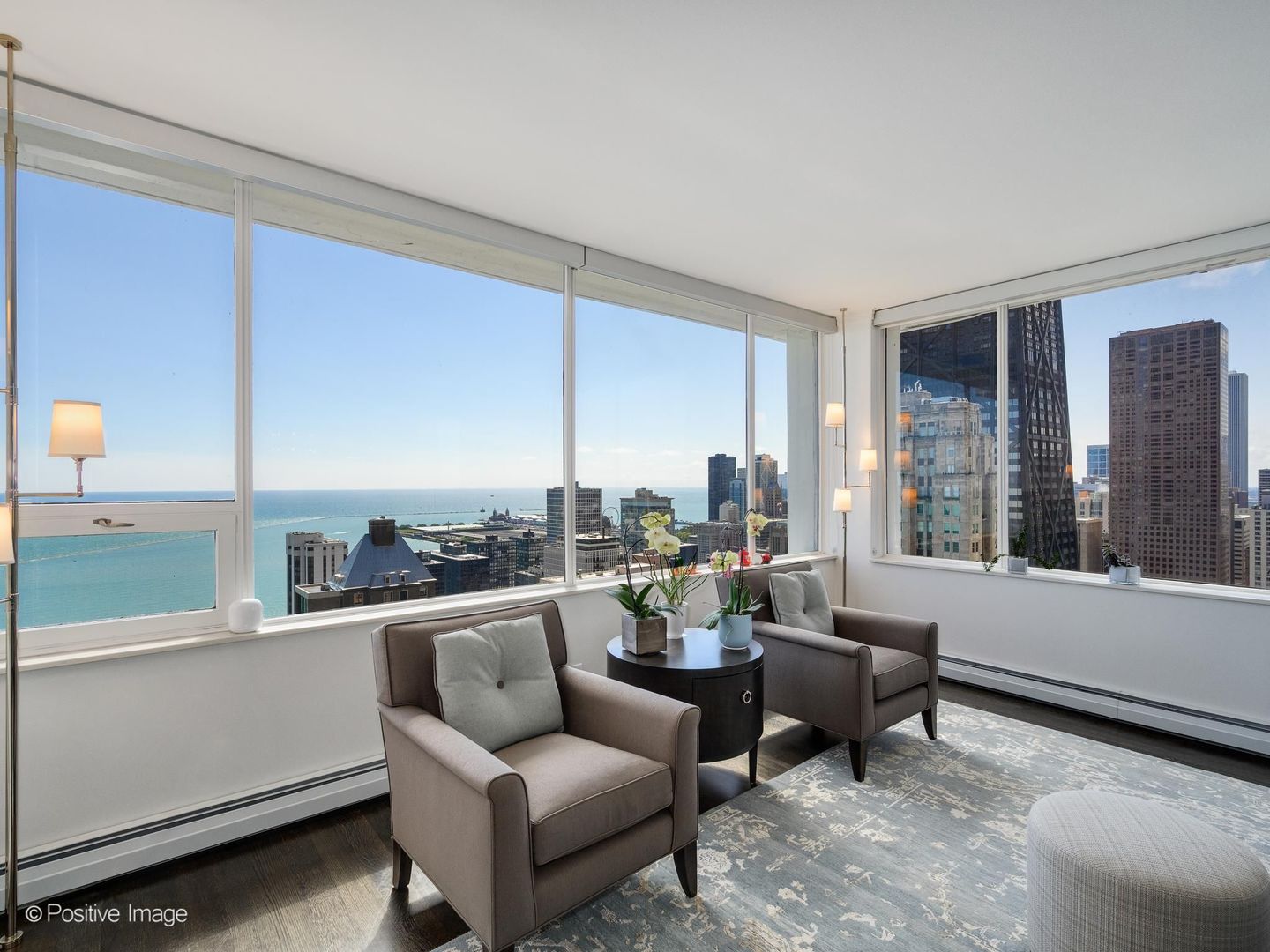 1000 N Lake Shore Plaza 44b Property Photo 6