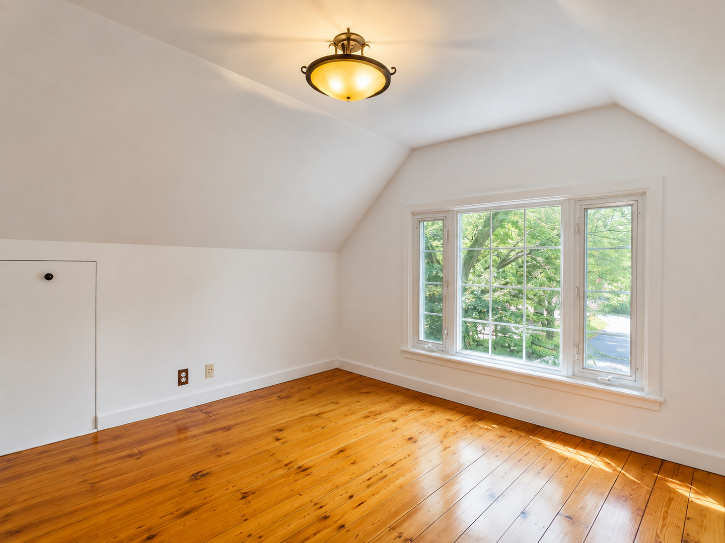 1013 Simpson Street Property Photo 24