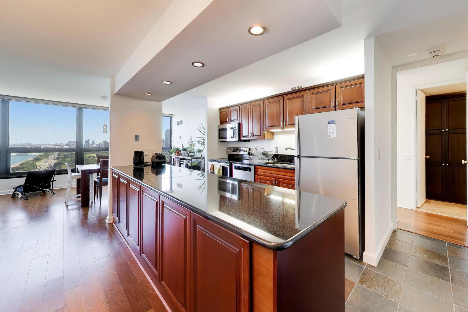 360 E Randolph Street 2502 Property Photo 4