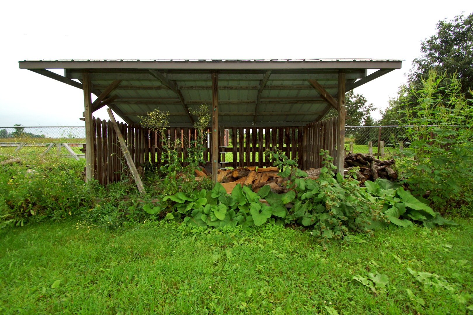 25844 Scott Park Road Property Photo 27