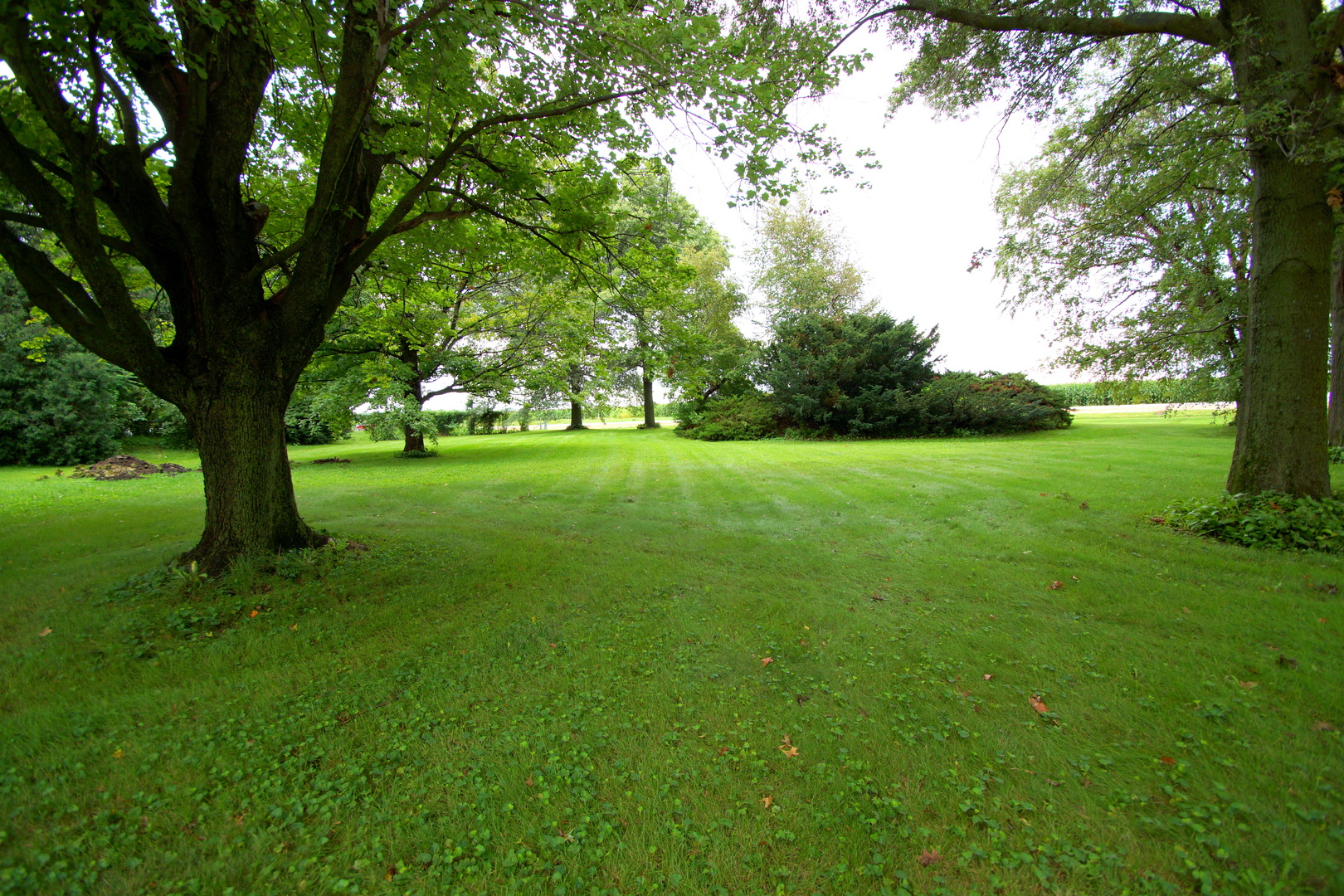 25844 Scott Park Road Property Photo 34