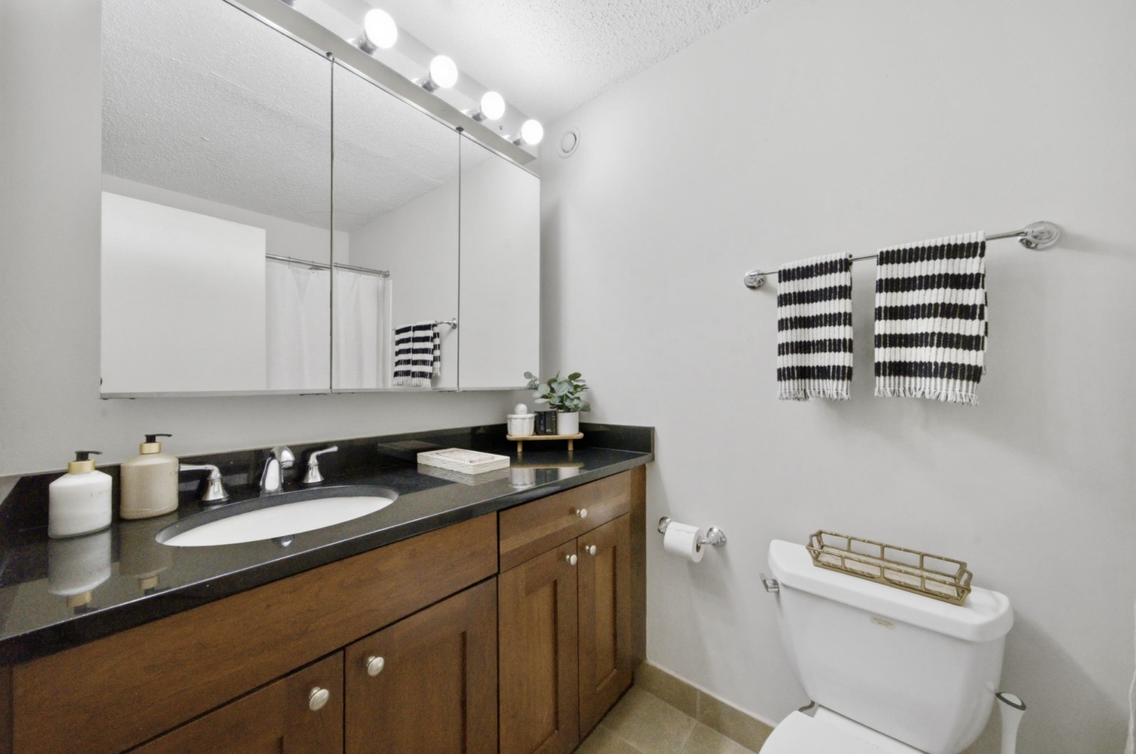 10 E Ontario Street 2111 Property Photo 5