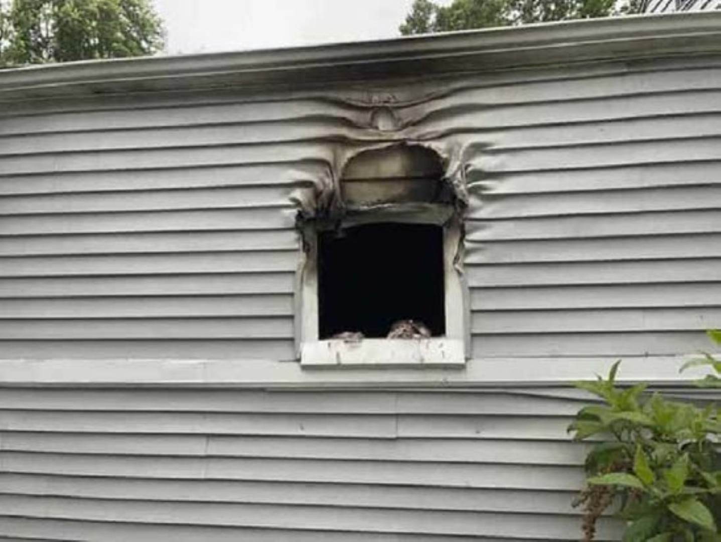 1212 Richard Drive Property Photo 8